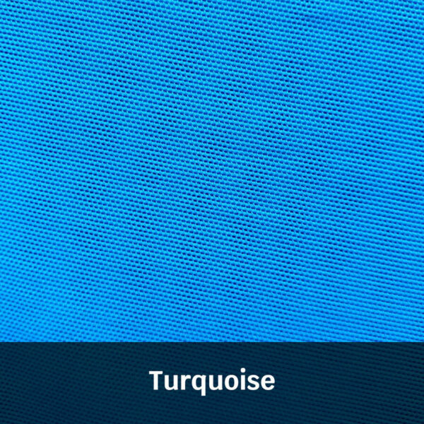Turquoise20Swatch